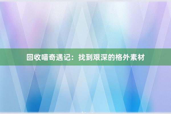 回收喵奇遇记：找到艰深的格外素材