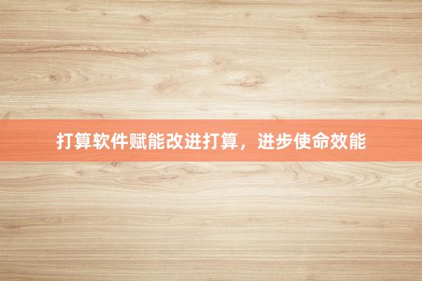 打算软件赋能改进打算，进步使命效能
